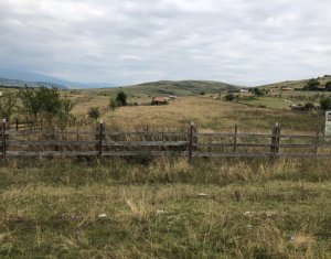 , 675m2 on Floresti