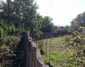 Telek eladó on Cluj-napoca, Zóna Dambul Rotund