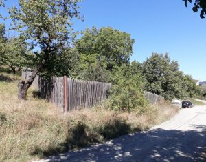 Telek eladó on Cluj-napoca, Zóna Dambul Rotund