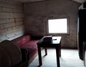 Ipari helyiség kiadó on Cluj-napoca, Zóna Dambul Rotund