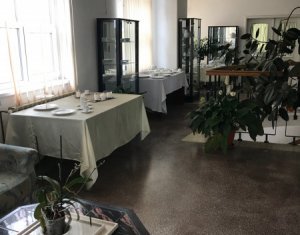 Iroda kiadó on Cluj-napoca, Zóna Iris