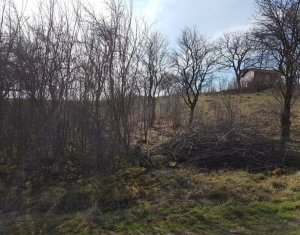, 1700m2 dans Cluj-napoca, zone Iris