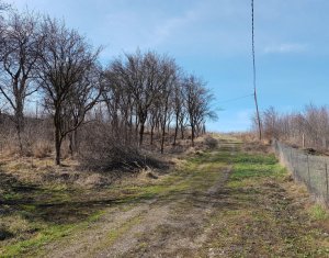 Terrain à vendre dans Cluj-napoca, zone Iris