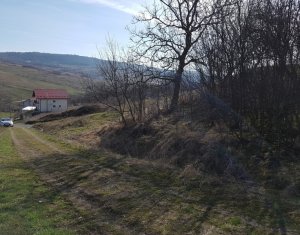 Terrain à vendre dans Cluj-napoca, zone Iris