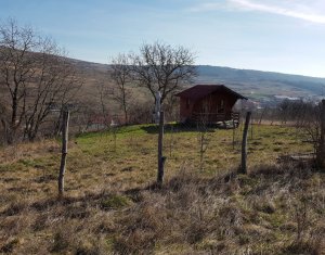 Terrain à vendre dans Cluj-napoca, zone Iris