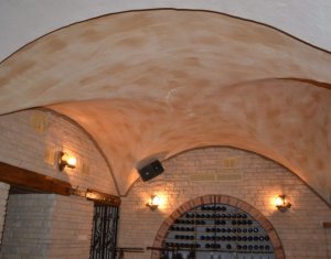 Üzlethelyiség eladó on Cluj-napoca, Zóna Centru