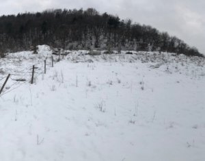 , 600m2 on Floresti