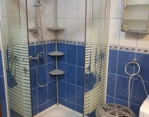 Appartement 2 chambres à louer dans Cluj-napoca, zone Manastur