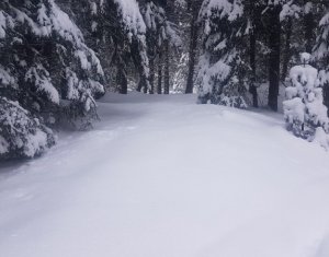 Telek eladó on Belis