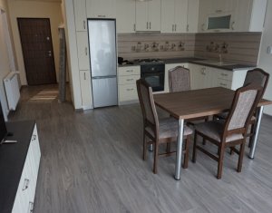 Appartement 2 chambres à louer dans Cluj-napoca, zone Gheorgheni