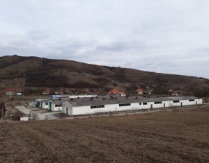 Ipari helyiség eladó, 3000m2 on Cluj-napoca, Zóna Apahida