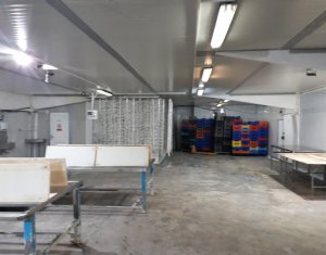 Ipari helyiség eladó on Cluj-napoca, Zóna Apahida