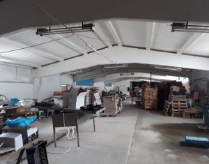 Ipari helyiség eladó on Cluj-napoca, Zóna Apahida
