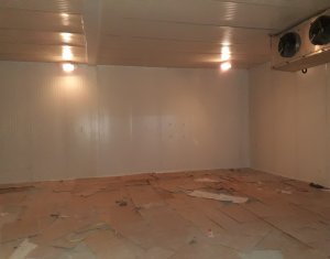 Ipari helyiség eladó on Cluj-napoca, Zóna Apahida