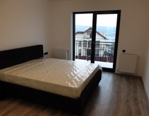 Appartement 4 chambres à louer dans Cluj-napoca, zone Europa