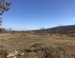 , 2000m2 on Gilau
