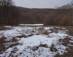 , 5700m2 on Cluj-napoca, Zóna Faget
