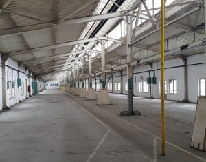 Ipari helyiség kiadó on Cluj-napoca, Zóna Iris