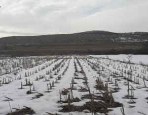 , 3000m2 on Vlaha