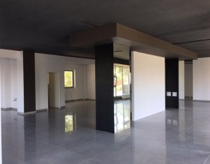 Iroda kiadó on Cluj-napoca, Zóna Zorilor