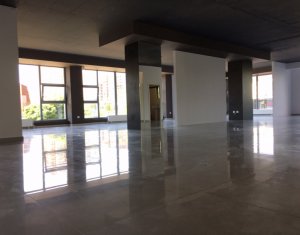 Iroda kiadó on Cluj-napoca, Zóna Zorilor