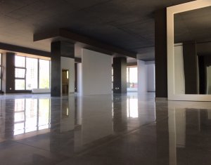 Iroda kiadó on Cluj-napoca, Zóna Zorilor