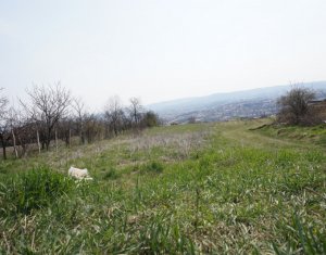 Telek eladó on Cluj-napoca, Zóna Dambul Rotund