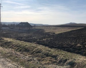 Nyaralók eladó on Barai