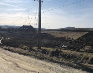 Nyaralók eladó on Barai