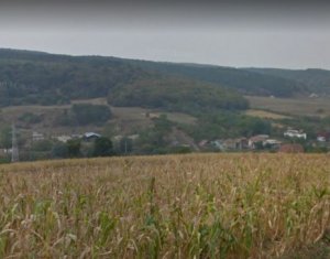 , 11600m2 on Baciu