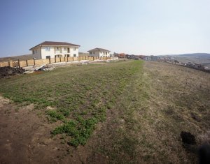 , 516m2 on Chinteni