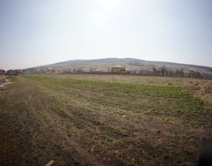 Telek eladó on Chinteni