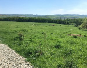 , 6000m2 on Dej
