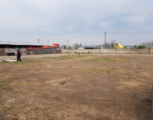 Telek kiadó on Cluj-napoca