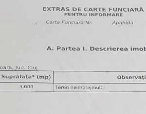 Terrain à vendre dans Sannicoara