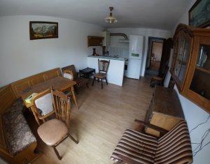 Iroda kiadó, 70m2 on Cluj-napoca, Zóna Gheorgheni