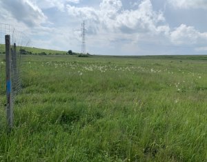 Telek eladó on Chinteni