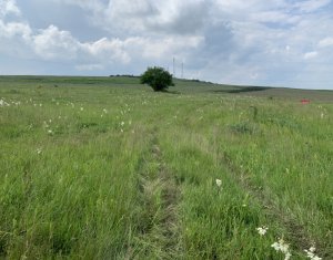 Telek eladó on Chinteni