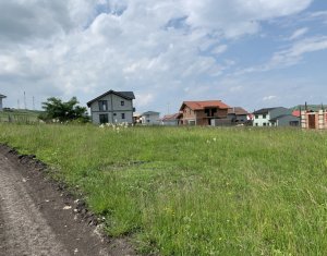 Telek eladó on Chinteni