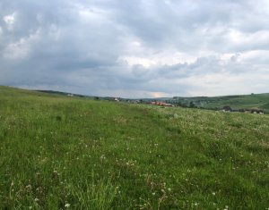 Terrain à vendre dans Cluj-napoca