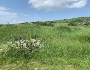 Terrain à vendre dans Cluj-napoca, zone Iris