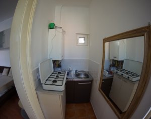 Appartement 1 chambres à louer dans Cluj-napoca, zone Centru