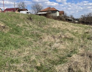 Terrain à vendre dans Cluj-napoca