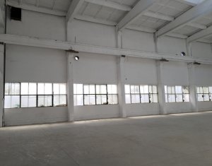 Espace Industriel à louer dans Cluj-napoca, zone Dambul Rotund