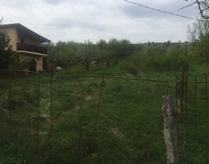 , 800m2 on Campenesti