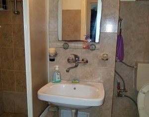 Appartement 1 chambres à louer dans Cluj-napoca, zone Manastur