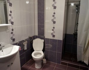 Lakás 2 szobák kiadó on Cluj-napoca, Zóna Intre Lacuri