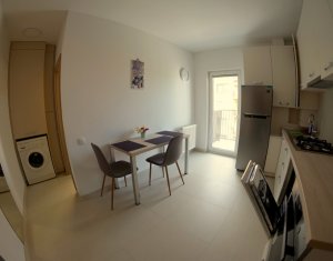 Appartement 1 chambres à louer dans Cluj-napoca, zone Zorilor