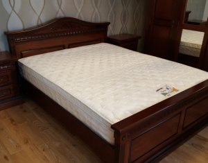 Appartement 4 chambres à louer dans Cluj-napoca, zone Andrei Muresanu