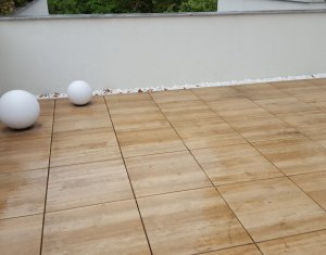 Appartement 4 chambres à louer dans Cluj-napoca, zone Andrei Muresanu